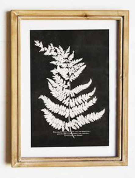 Fern Wall Art