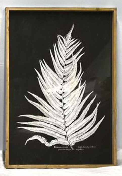 Jumbo Fern Wood Wall Art