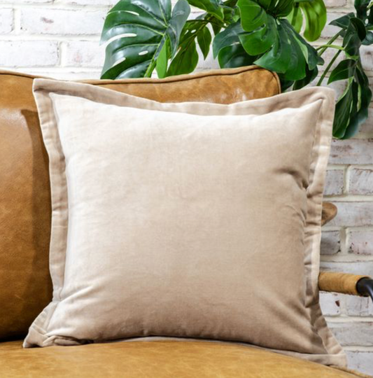 Beige Velvet Pillow