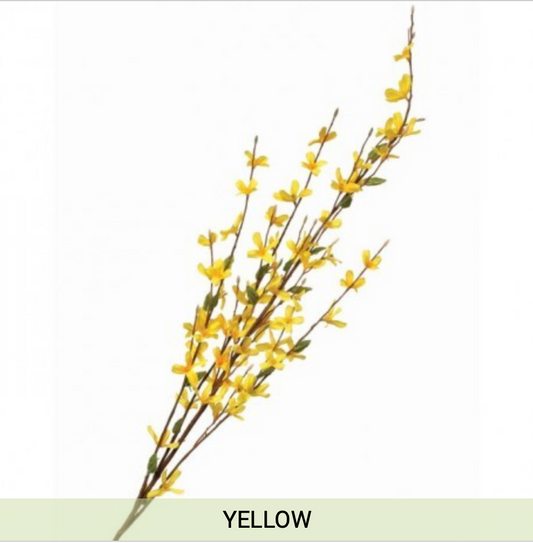 Forsythia Spray