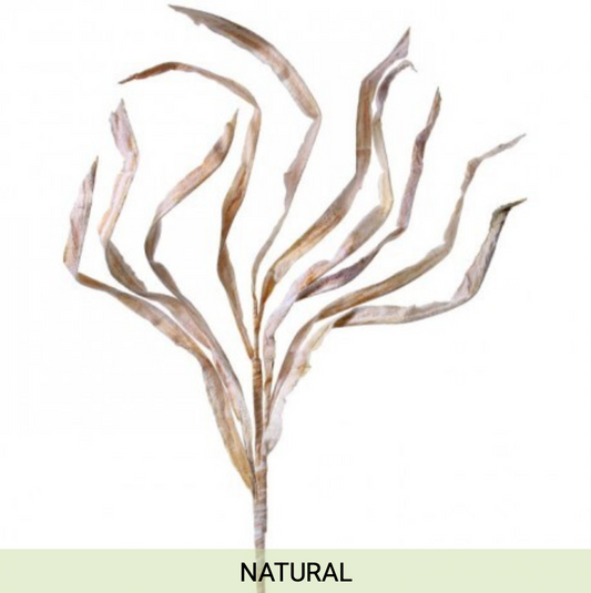 Parchment Seagrass Spray 39"