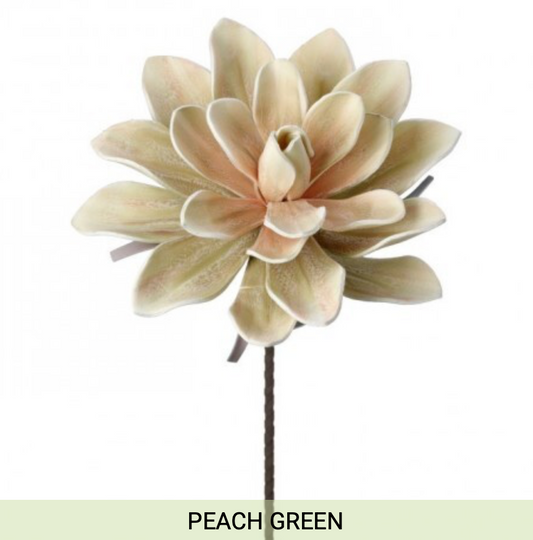 Hen Succulent Spray 38"