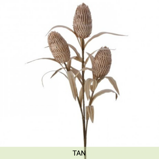 Cone Protea 39"