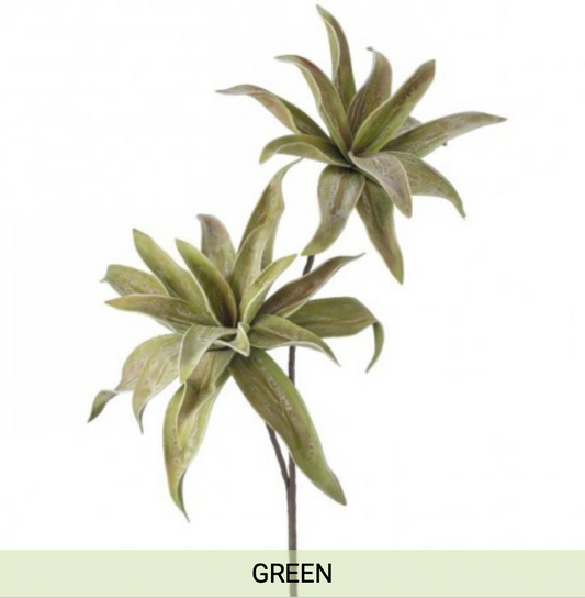 Double Yucca Spray 45"
