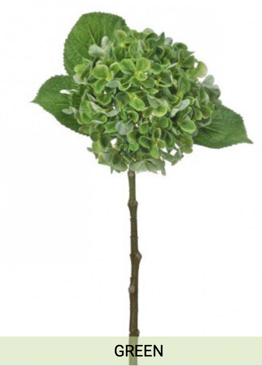New England Hydrangea Stem 19" - Green