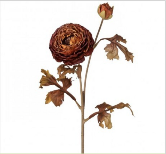 24" AUTUMN RANUCULAS STEM