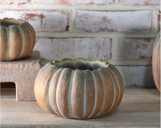 7.7" W. FALL OMBRE CEMENT PUMPKINS