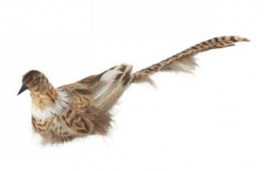 11" FEATHER QUAIL ORNAMENT W/CLIP 