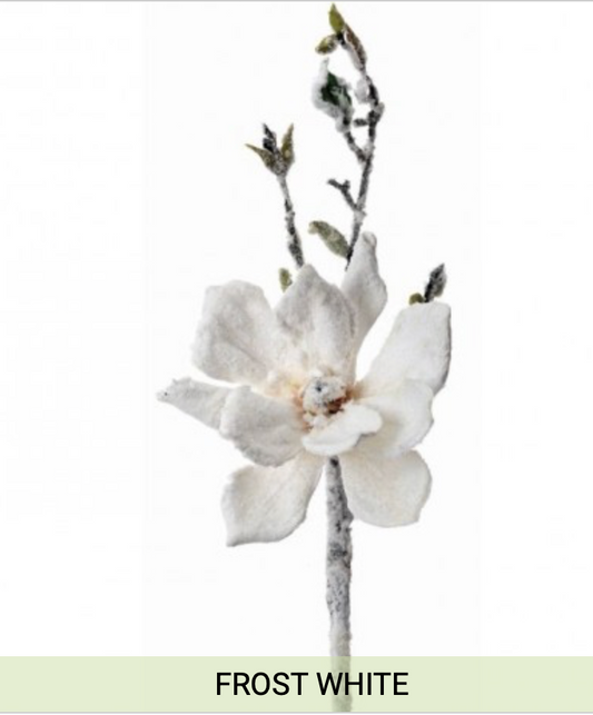 18" SNOWED JAPANESE MAGNOLIA PICK