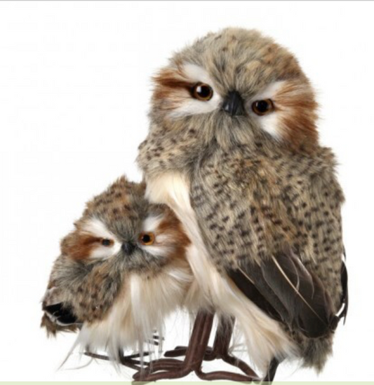 10.5" STANDING SPECKELD HOOT OWL W/BABY 