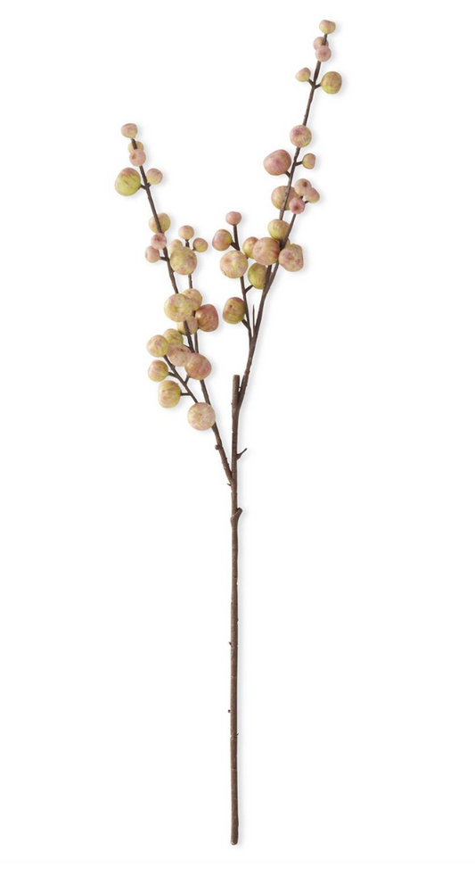 28 Inch Crabapple Stem