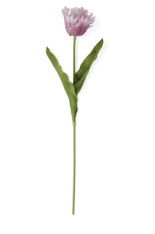 23" Pink Real Touch Parrot Tulip