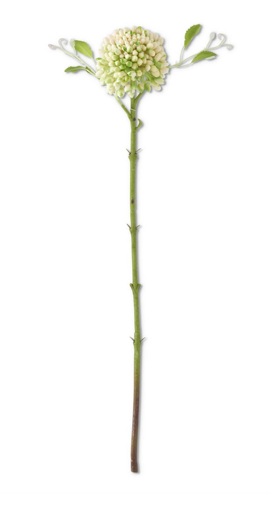 20" Green Real Touch Sedum Stem