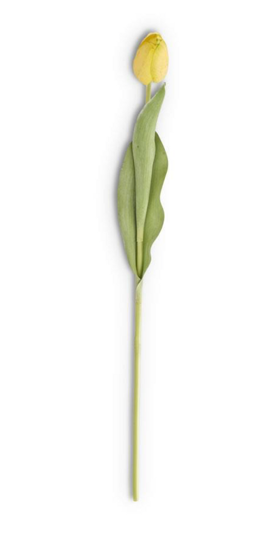 26.75" Yellow Real Touch Tulip Stem