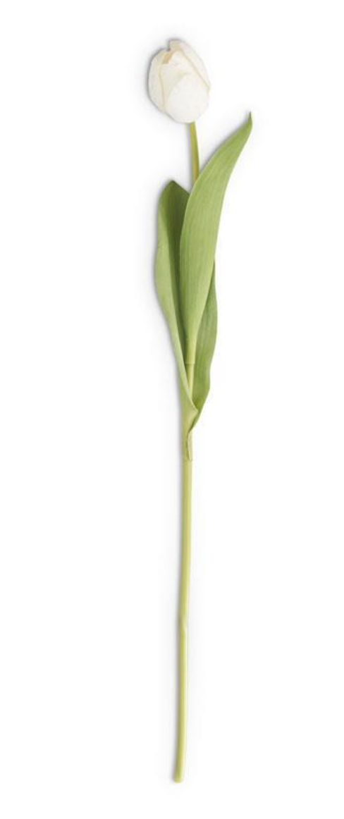 26.75" White Real Touch Tulip Stem