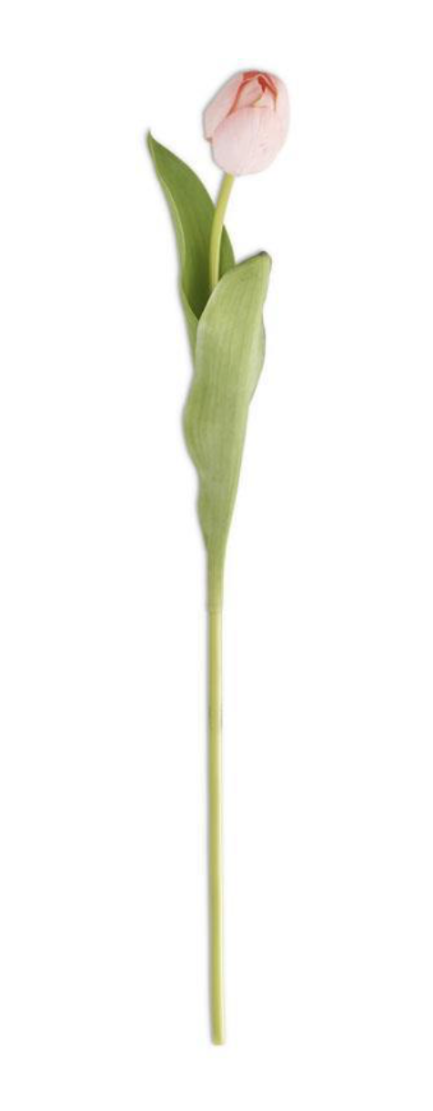 26.75" Pink Real Touch Tulip Stem