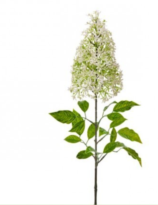 PAINTED LILAC 29" - Cream Green