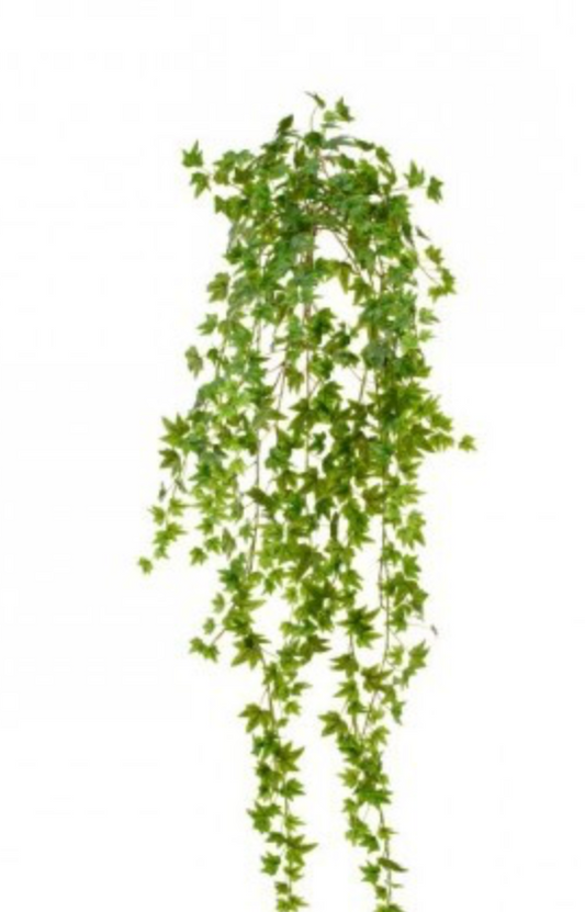 MINI IVY HANGING BUSH 40"