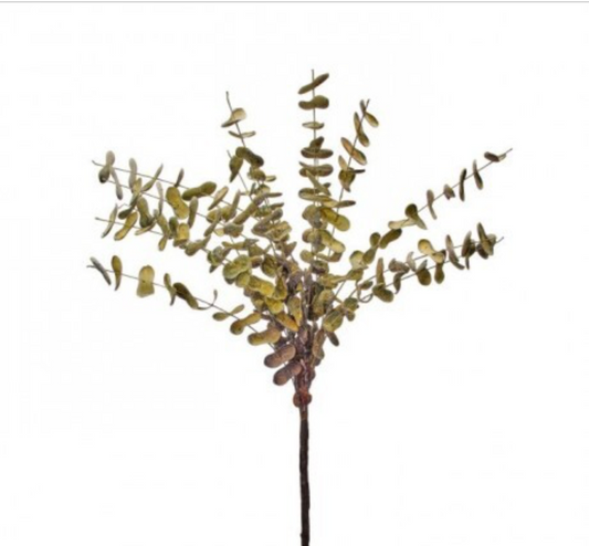 EUCALYPTUS SPRAY 36"