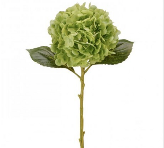 REAL TOUCH HYDRANGEA - Green