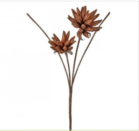 POD BURST SPRAY 38"