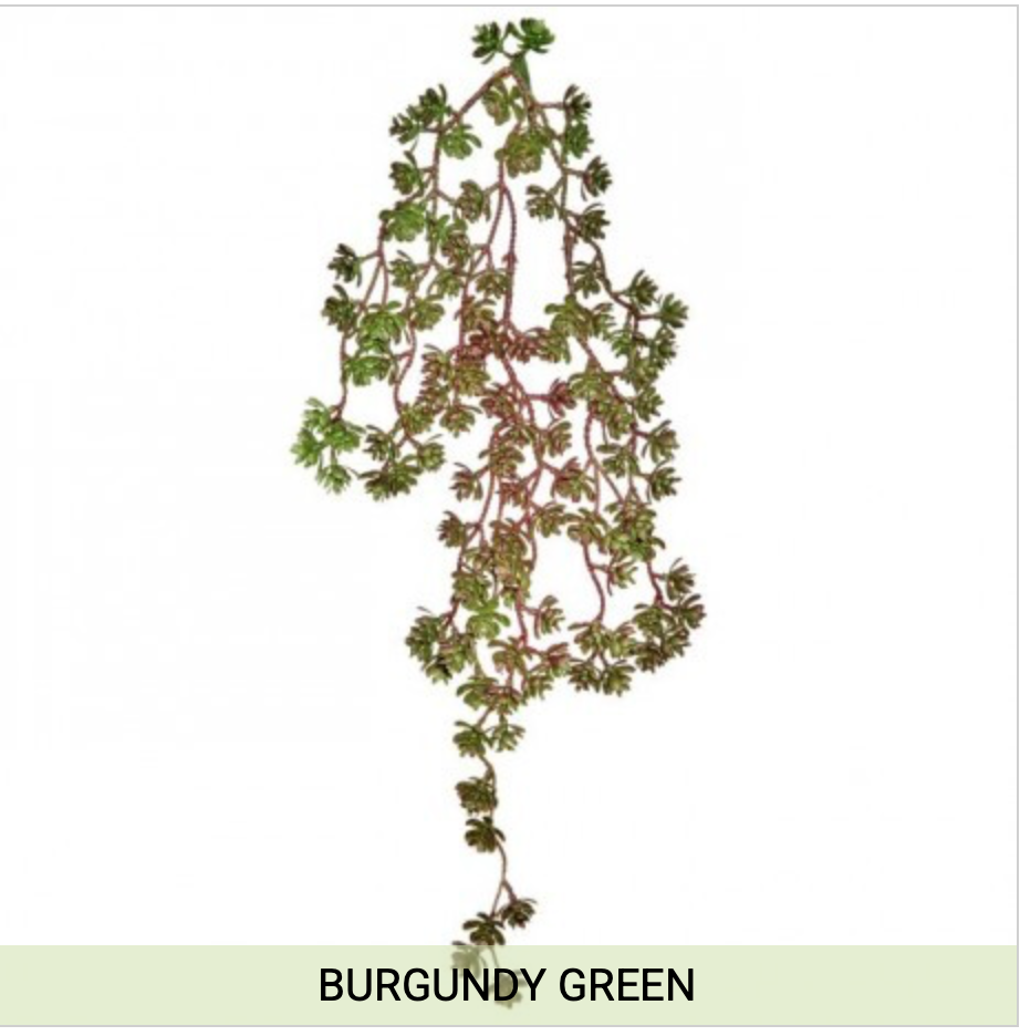 HANGING SUCCULENT VINE 24"