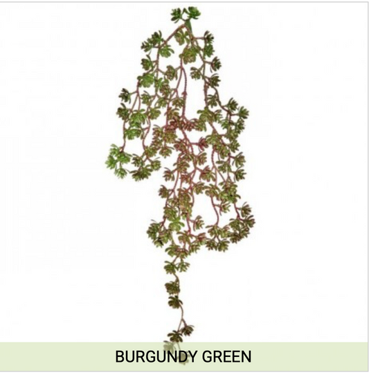 HANGING SUCCULENT VINE 24"