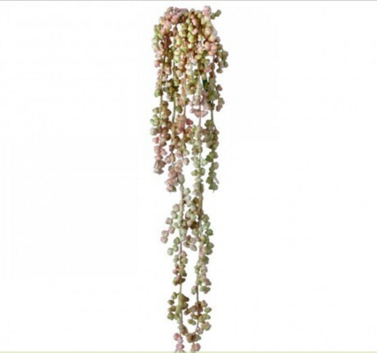 SUCCULENT VINE - BLUSH PINK