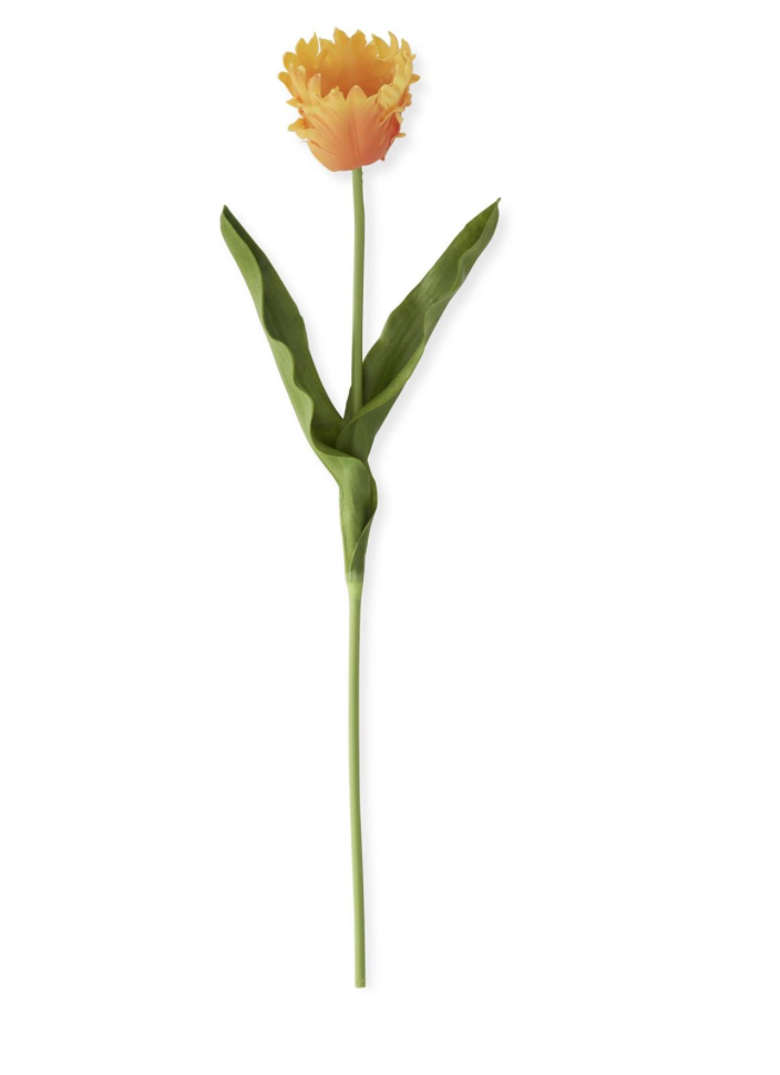 23" LIGHT ORANGE REAL TOUCH PARROT TULIP