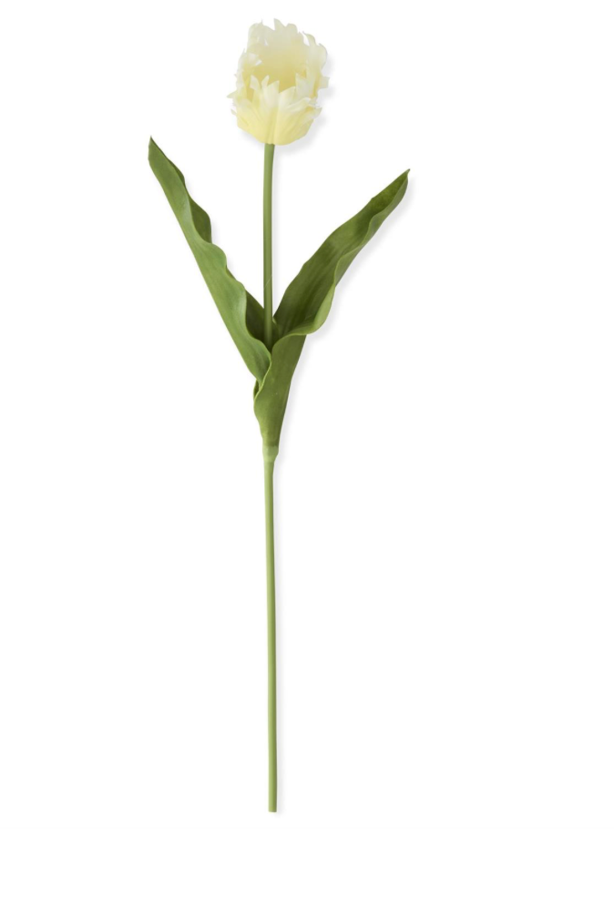 23" YELLOW REAL TOUCH PARROT TULIP