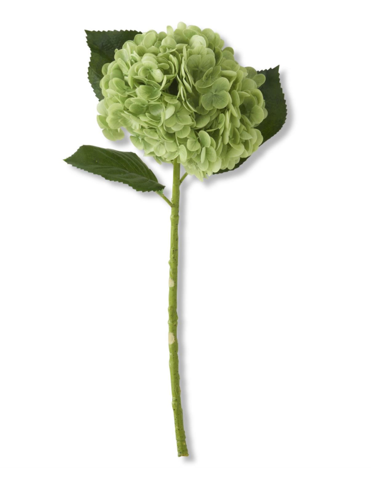 20" GREEN REAL TOUCH HYDRANGEA STEM