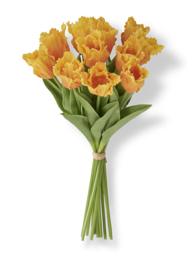 13" REAL TOUCH PARROT TULIP BUNDLE