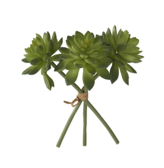 8" SMALL TWO TONE GREEN SUCCULENT BUNDLE