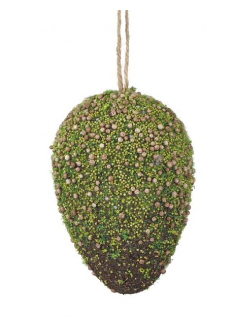 BROWN MOSS EGG