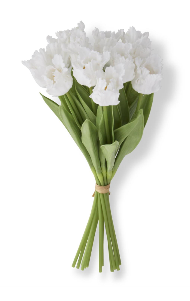 13" REAL TOUCH PARROT TULIP BUNDLE