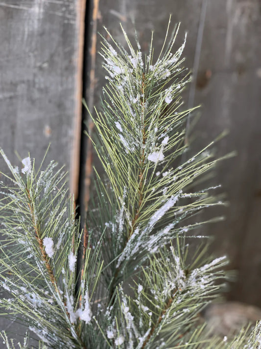 Snowy Fir Spray 24"
