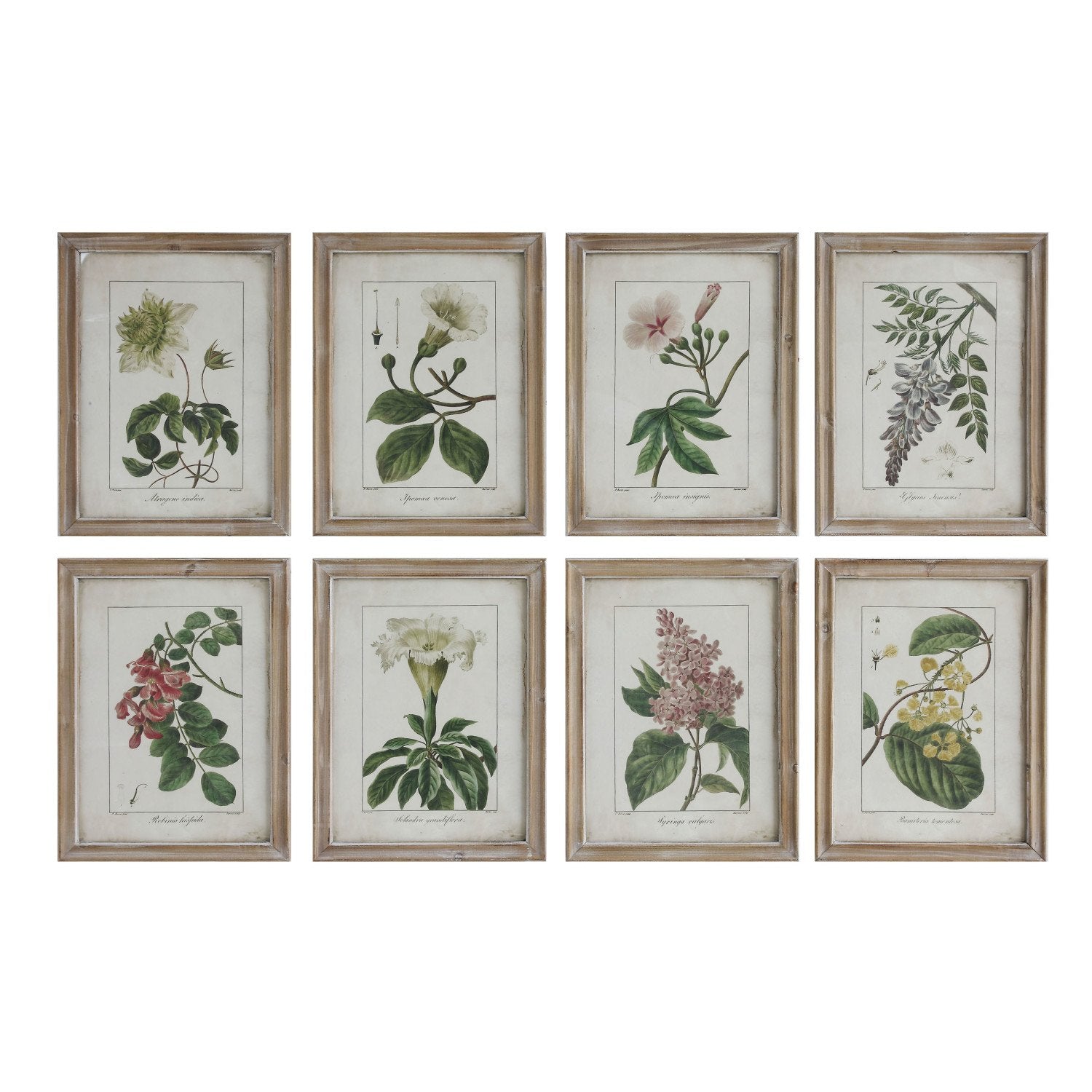 Framed Wall Decor with Floral Image, 8 Styles