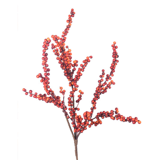 28" BERRY X 3 RUST - OTDR