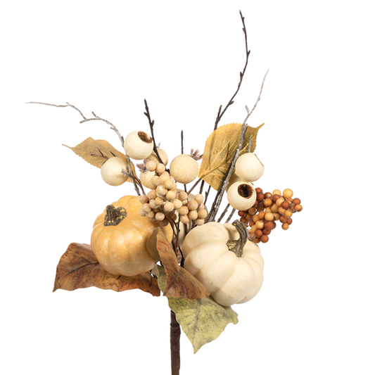 MIX PUMPKIN BUSH - OTDR