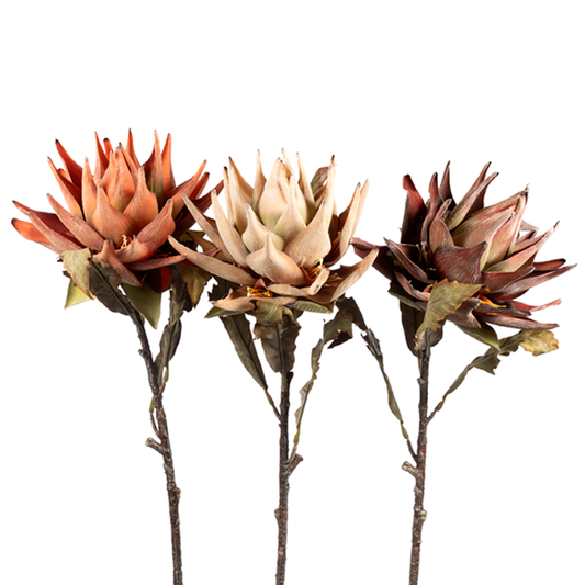 28" LG PROTEA