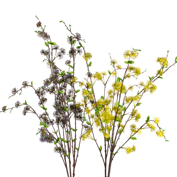 36" Seed Bush