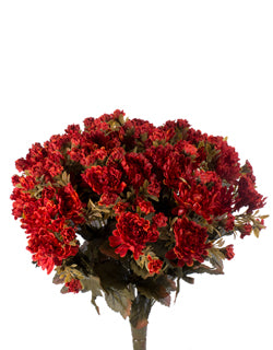 16" MUM RUST