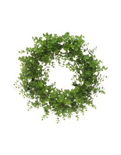 12" Small Fern Wreath