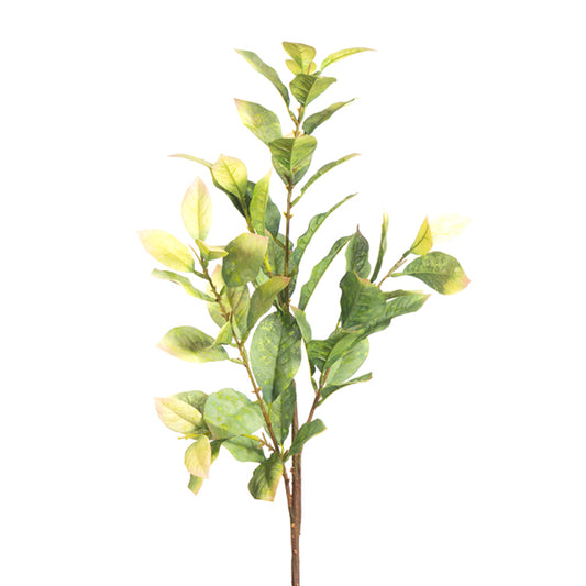 33" Salal Spray