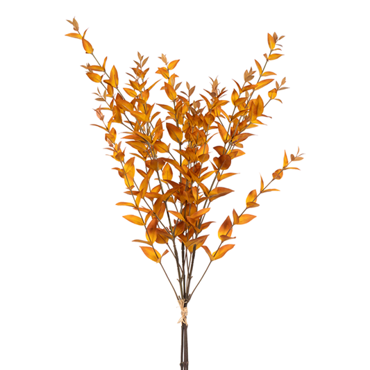 36" MYRTLE BNDL GOLD