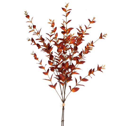 36" MYRTLE BNDL RUST