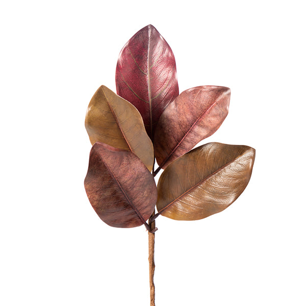 20" MAGNOLIA PK