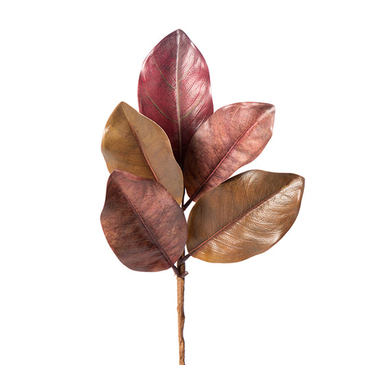 20" MAGNOLIA PK