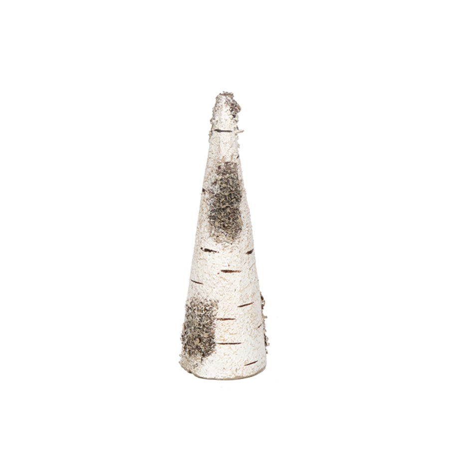 Birch Tree