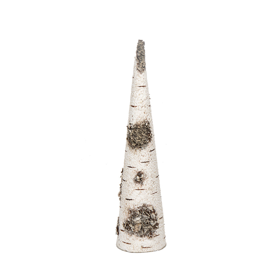 Birch Tree